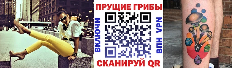 где можно купить наркотик Таштагол Галлюциногенные грибы MAGIC MUSHROOMS